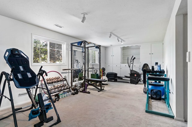 11905 N Atlantic St, Spokane, WA 99218 - exercise area featuring carpet, a textured ceiling, plenty of natural light, and track lighting
