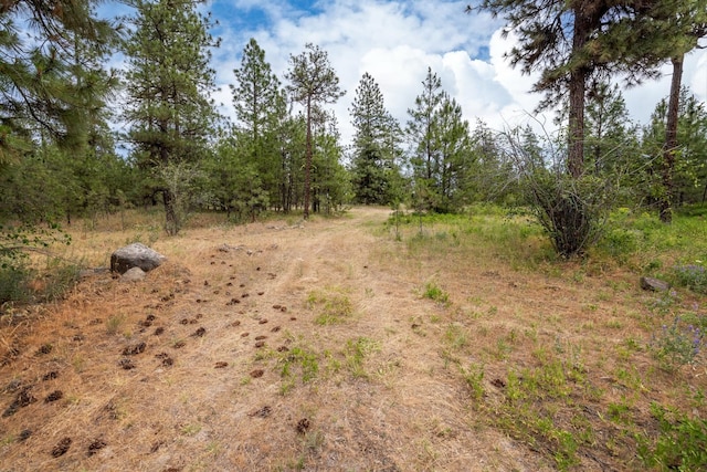 15611 W Pine Bluff Rd, Nine Mile Falls, WA 99026 - view of local wilderness