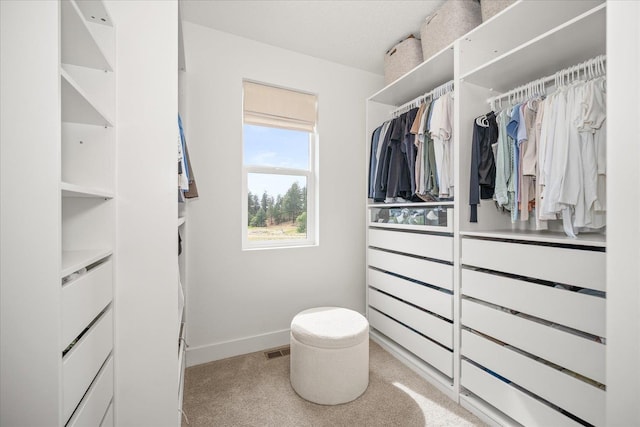 821 S Steen Rd, Spokane Valley, WA 99037 - photo 22