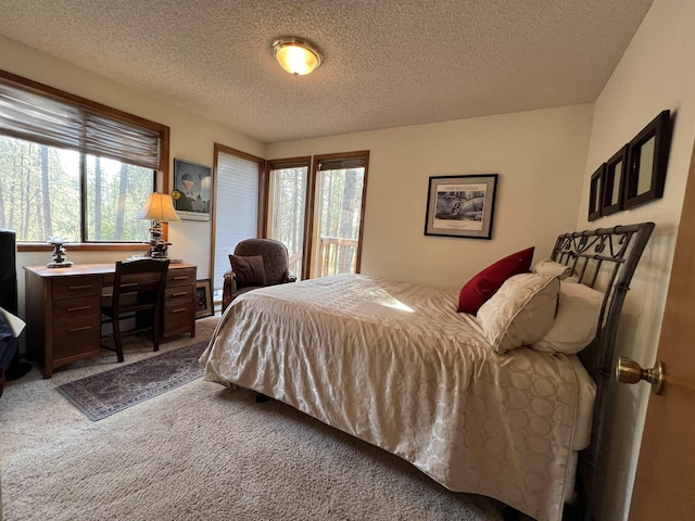 4605 W Pinto Rd, Cheney, WA 99004 - bedroom featuring carpet, multiple windows, a textured ceiling, an office area, and access to exterior