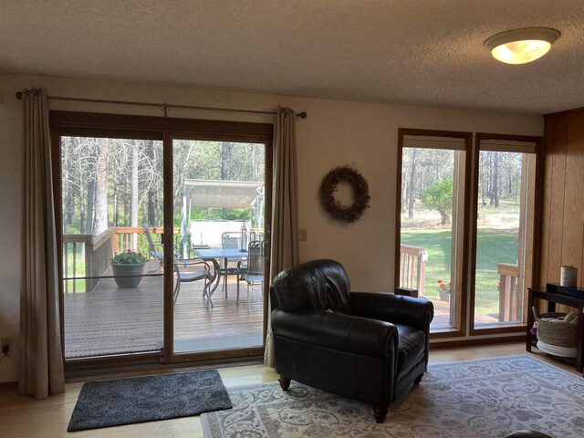 4605 W Pinto Rd, Cheney, WA 99004 - doorway featuring a textured ceiling, healthy amount of natural light, and light wood-style floors