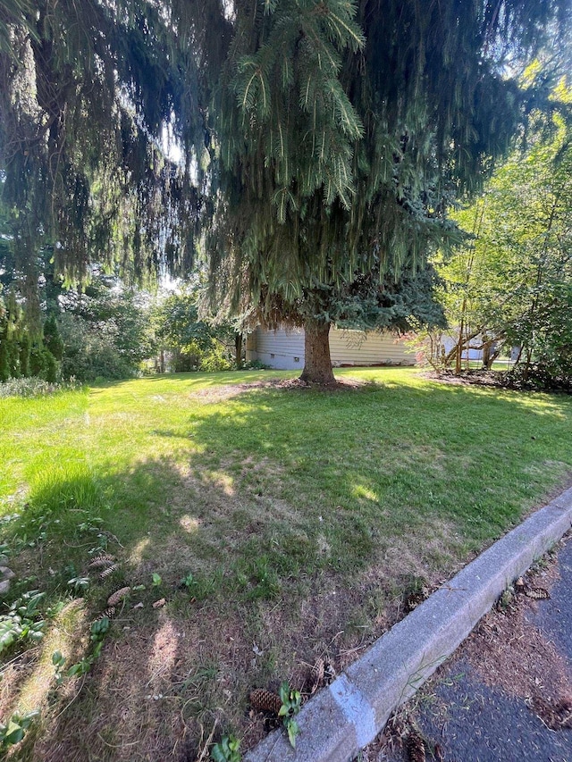 10520 N College Cir, Spokane, WA 99218 - view of green lawn