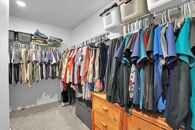 4538 W Brookfield Ave, Spokane, WA 99208 - walk in closet with carpet flooring
