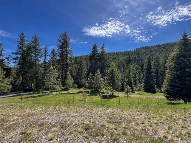 1188 Randall Rd, Colville, WA 99114 - photo 29