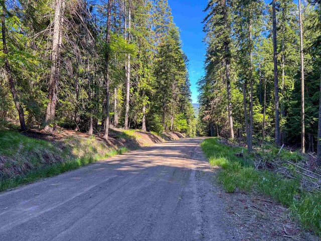 1188 Randall Rd, Colville, WA 99114 - photo 38