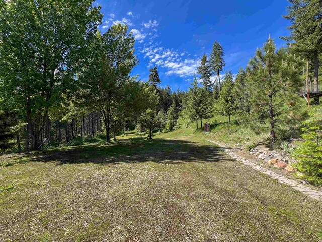 1188 Randall Rd, Colville, WA 99114 - photo 40