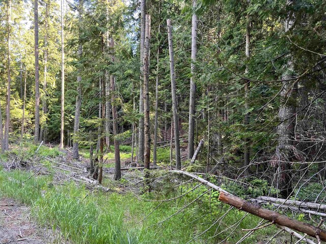 1188 Randall Rd, Colville, WA 99114 - photo 44