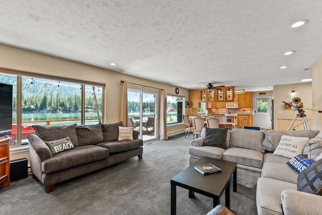 161 S Alaska Ln, Cusick, WA 99119 - living room with carpet, healthy amount of natural light, a textured ceiling, and recessed lighting