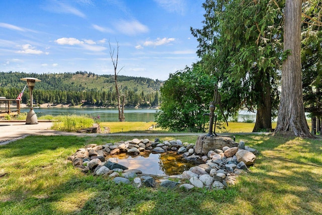 161 S Alaska Ln, Cusick, WA 99119 - view of property's community featuring a lawn, a view of trees, and a water view