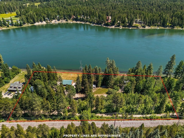161 S Alaska Ln, Cusick, WA 99119 - aerial view of property and surrounding area with property boundaries highlighted