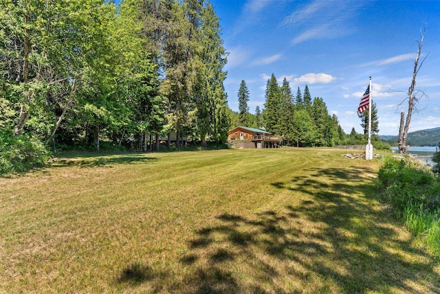 161 S Alaska Ln, Cusick, WA 99119 - view of green lawn