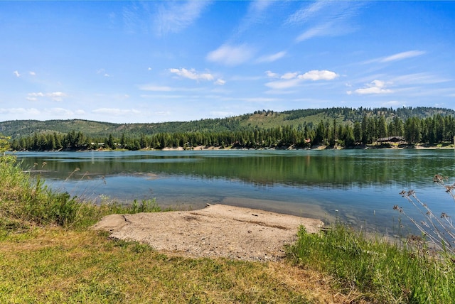 161 S Alaska Ln, Cusick, WA 99119 - water view with a heavily wooded area
