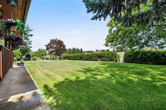 4821 S Conklin Rd, Greenacres, WA 99016 - view of yard