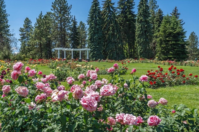 426 E 17th St, Spokane, WA 99203 - view of grassy yard