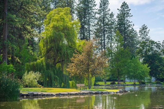 426 E 17th St, Spokane, WA 99203 - water view