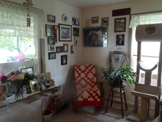 210 W Bartlett St, Oakesdale, WA 99158 - view of sitting room