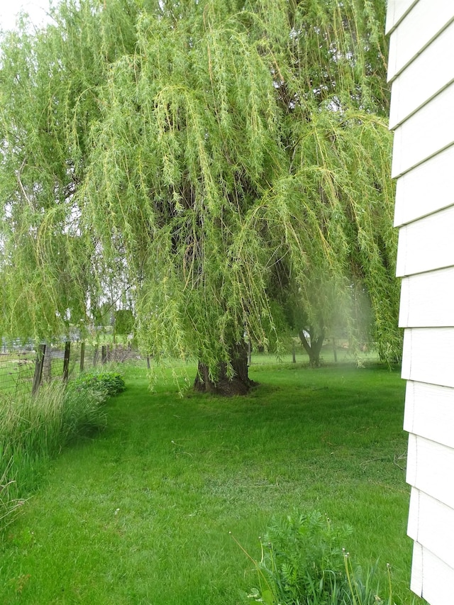 210 W Bartlett St, Oakesdale, WA 99158 - view of green lawn