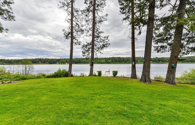 42325 N Sylvan Rd, Elk, WA 99009 - water view featuring a heavily wooded area