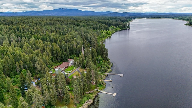 42325 N Sylvan Rd, Elk, WA 99009 - aerial view of a water and mountain view