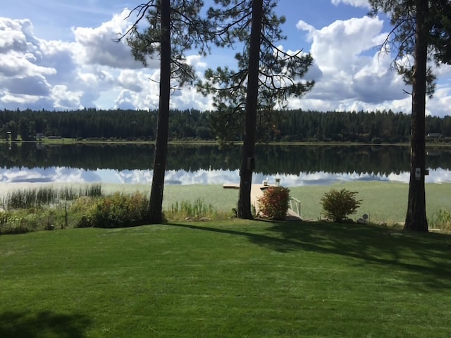 42325 N Sylvan Rd, Elk, WA 99009 - water view with a heavily wooded area