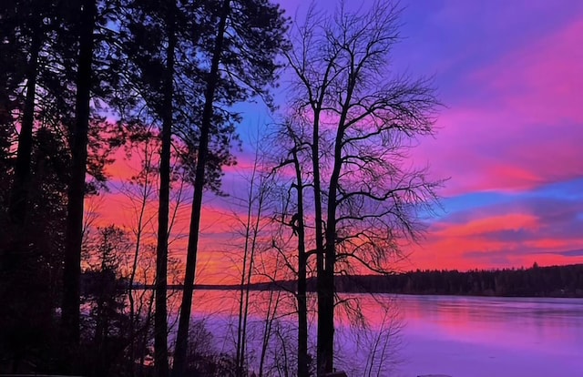 42325 N Sylvan Rd, Elk, WA 99009 - water view featuring a heavily wooded area