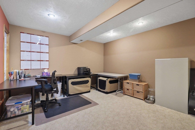 15618 N Chronicle Ct, Mead, WA 99021 - office area with light carpet and a textured ceiling