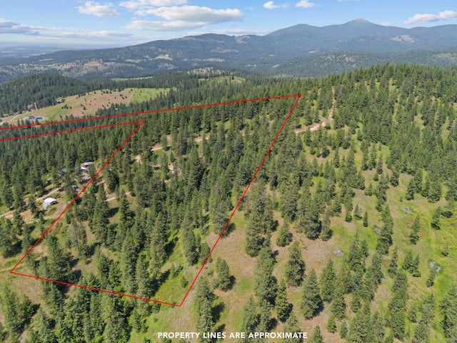NNA Scribner Branch Rd, Mead, WA 99217 - photo 2