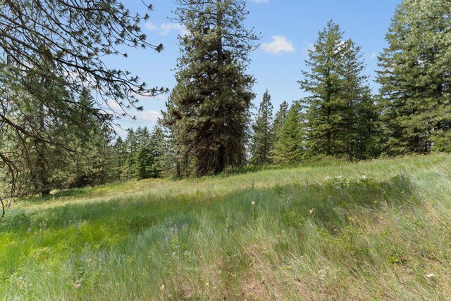 NNA Scribner Branch Rd, Mead, WA 99217 - photo 11