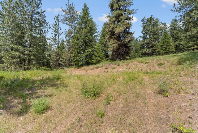 NNA Scribner Branch Rd, Mead, WA 99217 - photo 12
