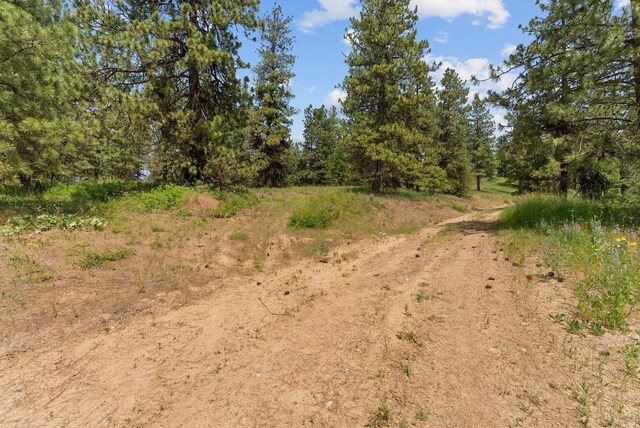 NNA Scribner Branch Rd, Mead, WA 99217 - photo 13