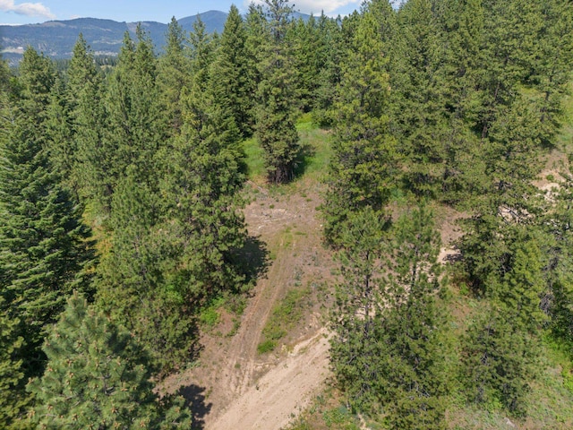 NNA Scribner Branch Rd, Mead, WA 99217 - photo 15