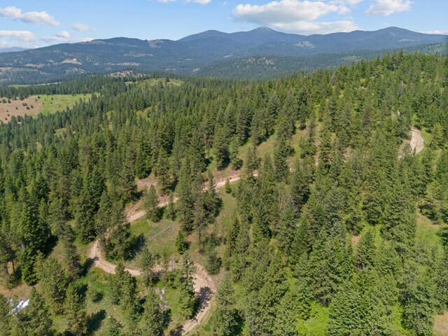 NNA Scribner Branch Rd, Mead, WA 99217 - photo 16