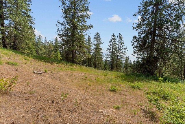 NNA Scribner Branch Rd, Mead, WA 99217 - photo 17