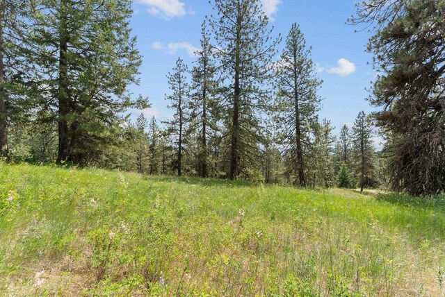NNA Scribner Branch Rd, Mead, WA 99217 - photo 19