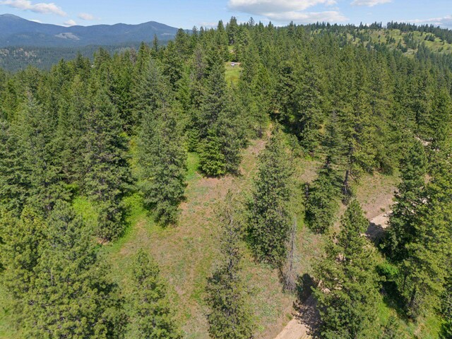 NNA Scribner Branch Rd, Mead, WA 99217 - photo 20