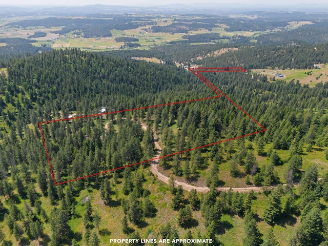 NNA Scribner Branch Rd, Mead, WA 99217 - photo 3