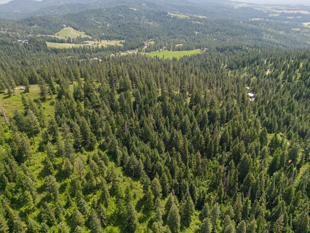 NNA Scribner Branch Rd, Mead, WA 99217 - photo 21
