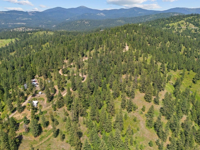 NNA Scribner Branch Rd, Mead, WA 99217 - photo 4