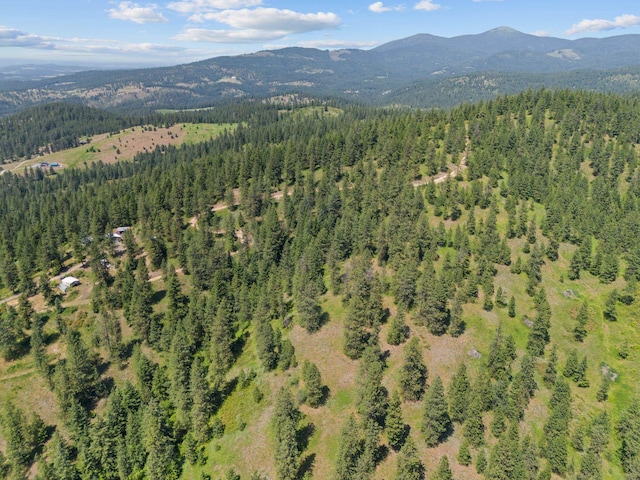 NNA Scribner Branch Rd, Mead, WA 99217 - photo 5