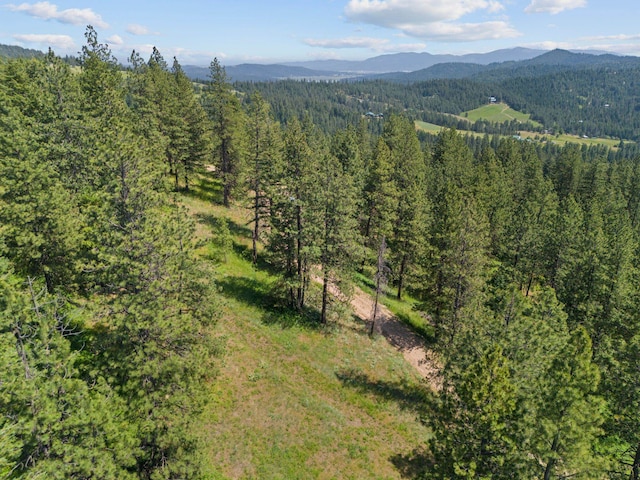 NNA Scribner Branch Rd, Mead, WA 99217 - photo 6
