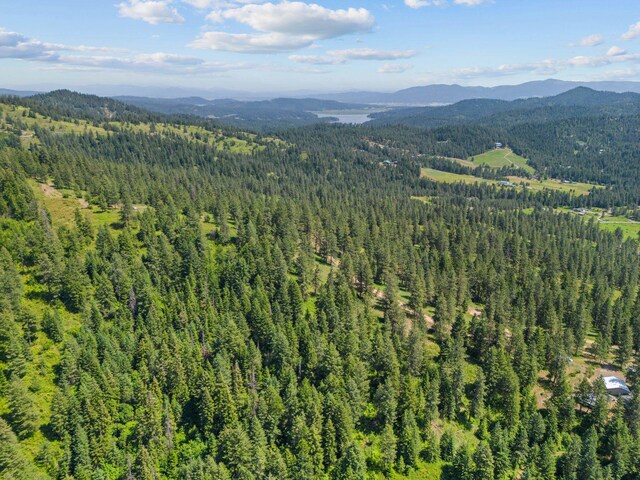 NNA Scribner Branch Rd, Mead, WA 99217 - photo 8