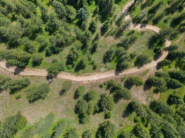 NNA Scribner Branch Rd, Mead, WA 99217 - photo 9