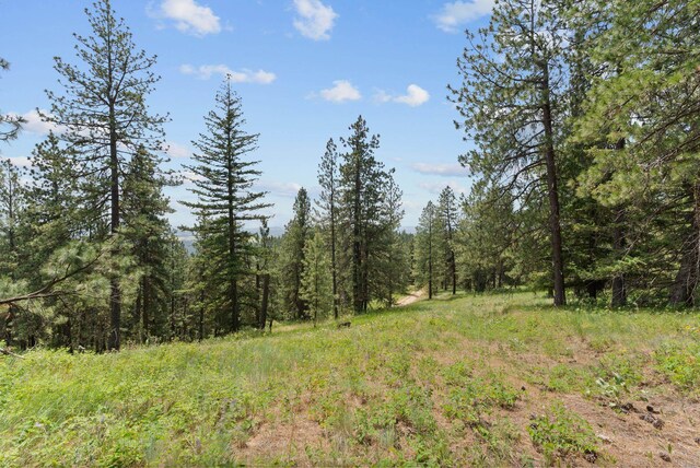 NNA Scribner Branch Rd, Mead, WA 99217 - photo 10