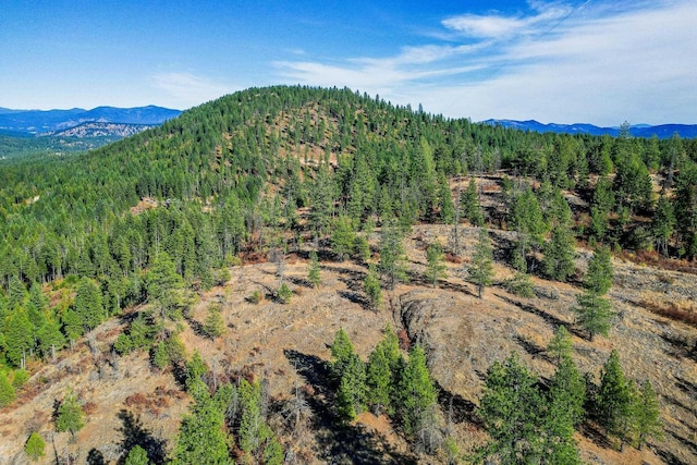 3401 Red Marble Rd, Chewelah, WA 99109
