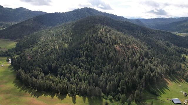 40XX Daisy Mine Rd, Rice, WA 99167
