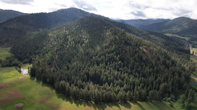 40XX Daisy Mine Rd, Rice, WA 99167