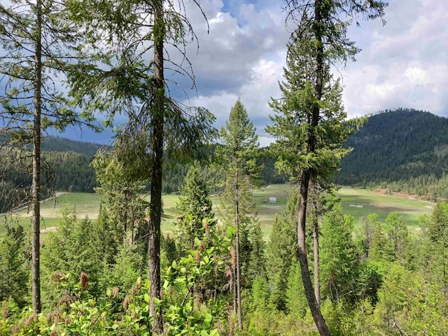 40XX Daisy Mine Rd, Rice, WA 99167