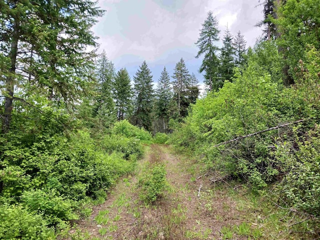 40XX Daisy Mine Rd, Rice, WA 99167