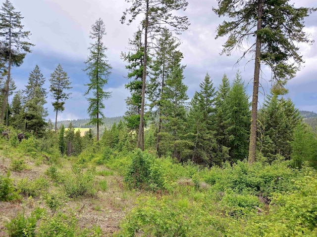 40XX Daisy Mine Rd, Rice, WA 99167