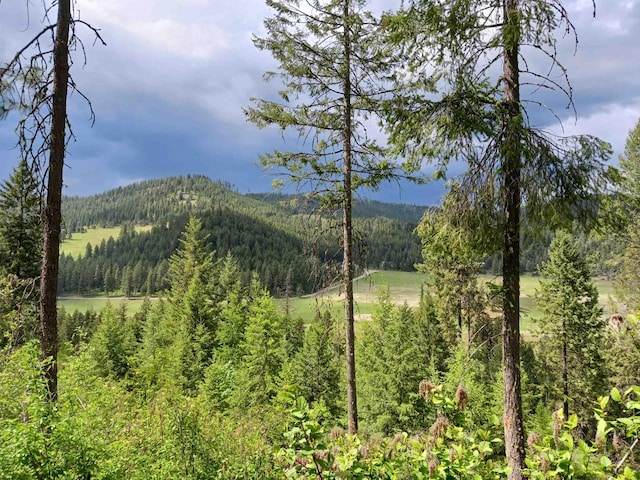 40XX Daisy Mine Rd, Rice, WA 99167